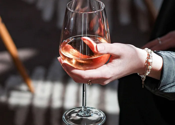 Ibis Budget Centre 2* Albi